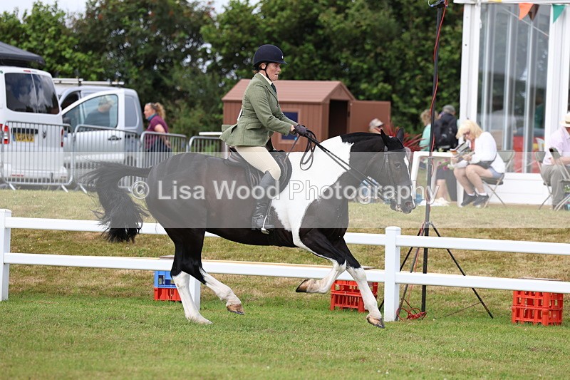 3E7A0340 - Class 6: Rising Star Maxi Cobs