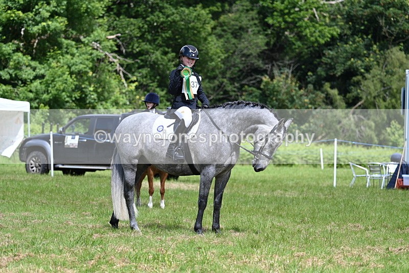 WJ7_1828 - Class 9 Pony Club Pony