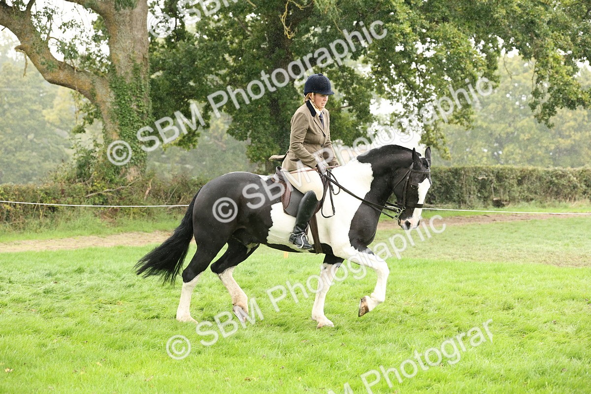 SBM_69787 - S69 - Show Cob Ridden