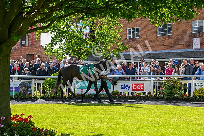 160624-Race 4-Align The Stars-8599 - Race 4