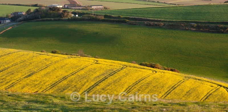  - Dorset - Photography Workshop