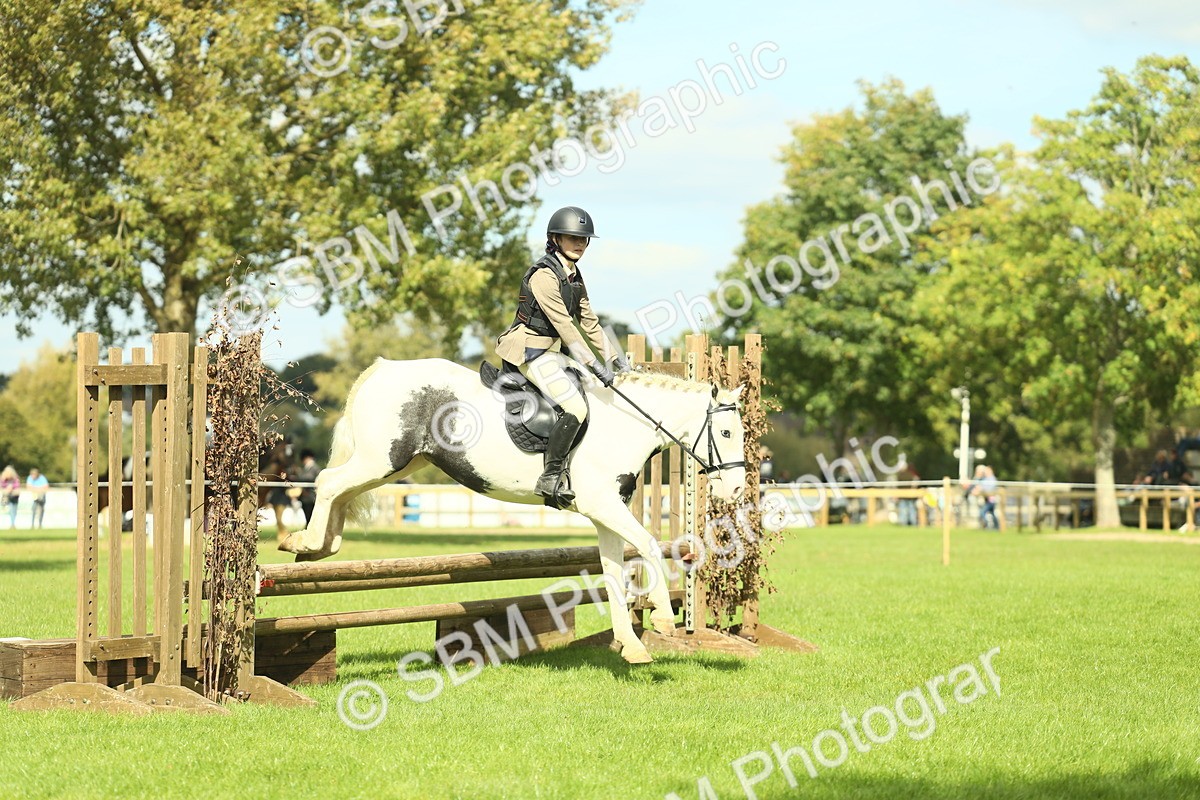 SBM_44698 - S31 - Working Hunter Pony