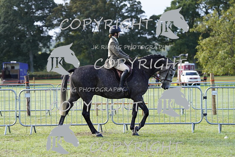 _DSC9309 - Class 8 & 17 Ridden Hunter & Ridden Hunter Pony