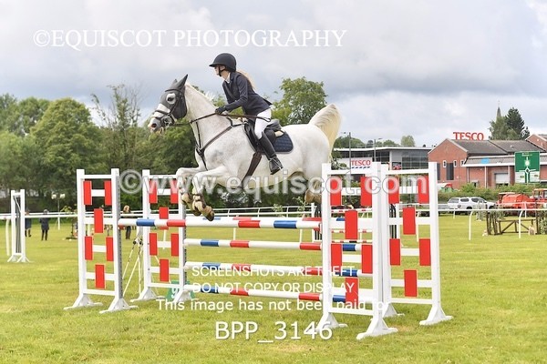 BPP_3146 - CLASS 2 SENIOR FOX/1.20M OPEN