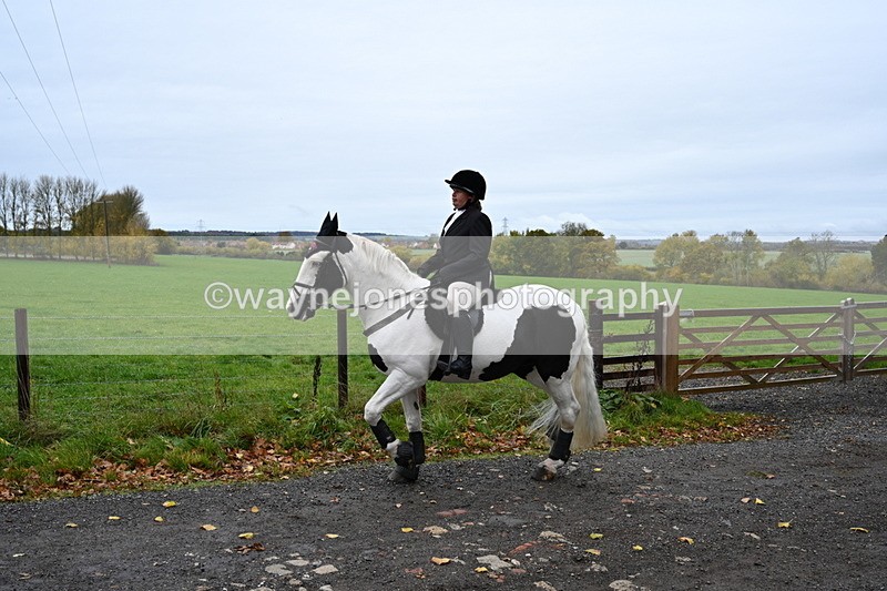 WJ6_9291 - Ride