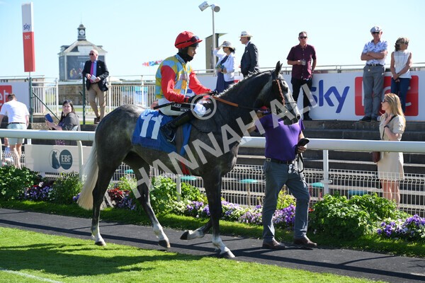  - Race 6 4.50pm The Ice Co supporting Macmillan Stakes