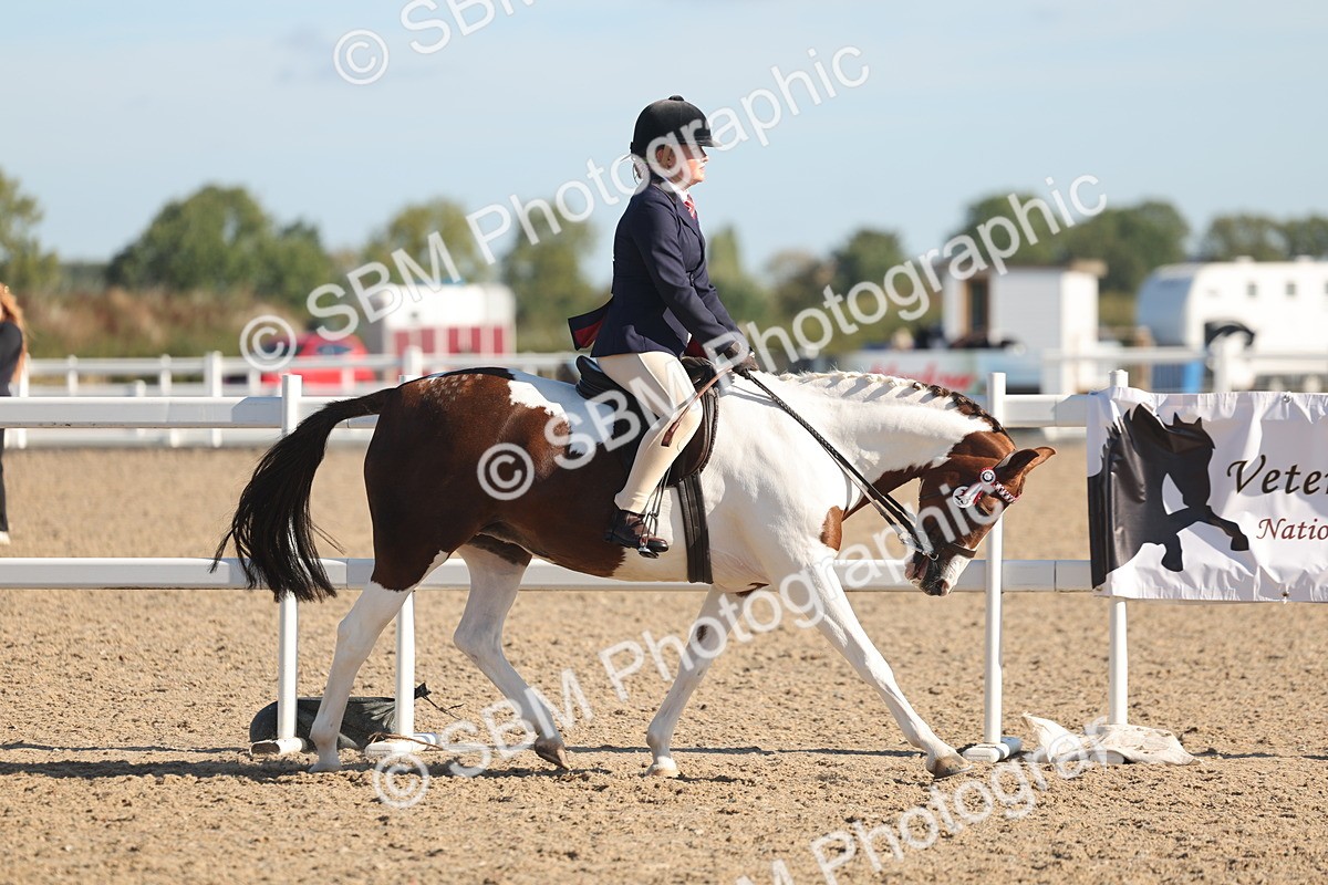 SBM_12292 - Class 304 - Ridden part Bred Horse Pony