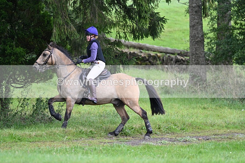 WJ7_8150 - Time 14:11 to 14:30