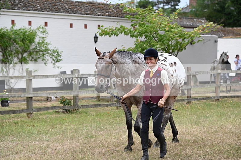 WJ6_7997 - Class 10 Coloured in Hand