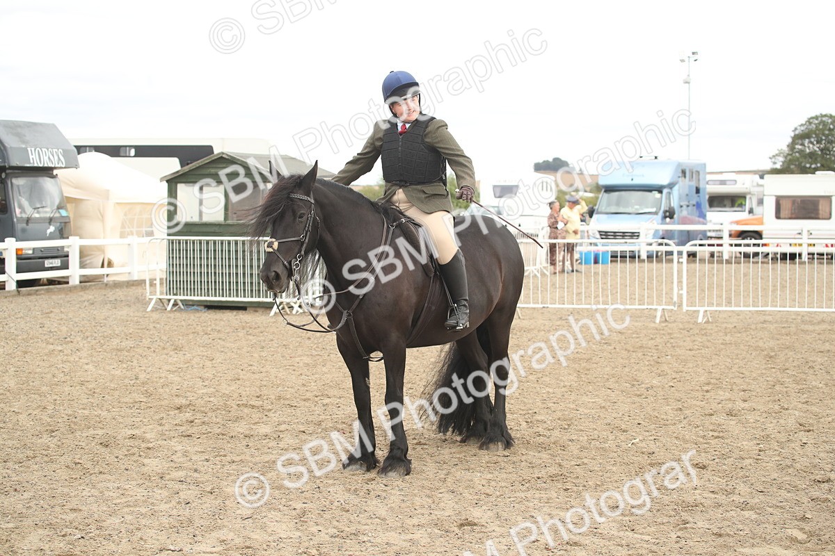 SBM_17725 - Class 508a - Working Veteran 70cm (15-19)