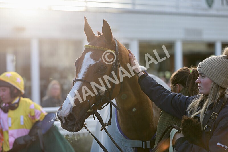 281224-Race 3-Pescatorius-1542 - Race 3