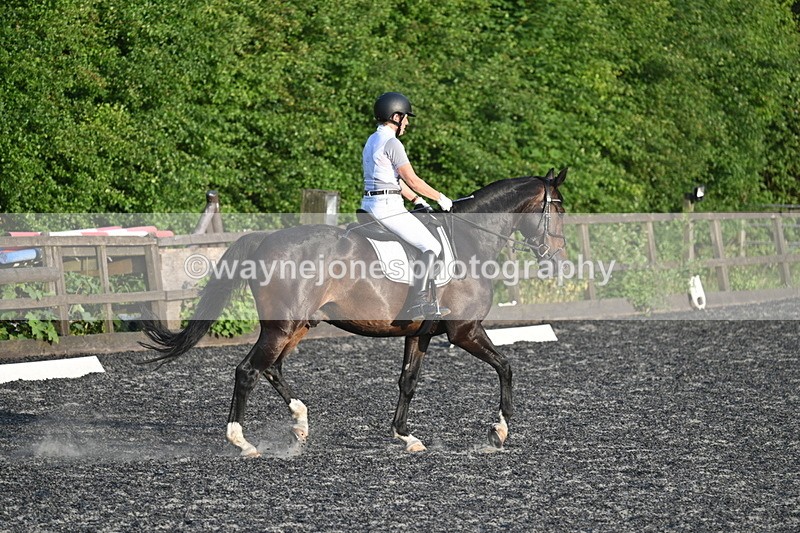 WJ7_0558 - Time 19:38 to 20:00