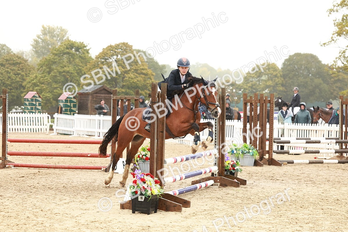 SBM_73375 - Supreme Championship Junior Pony 60cm & 65cm