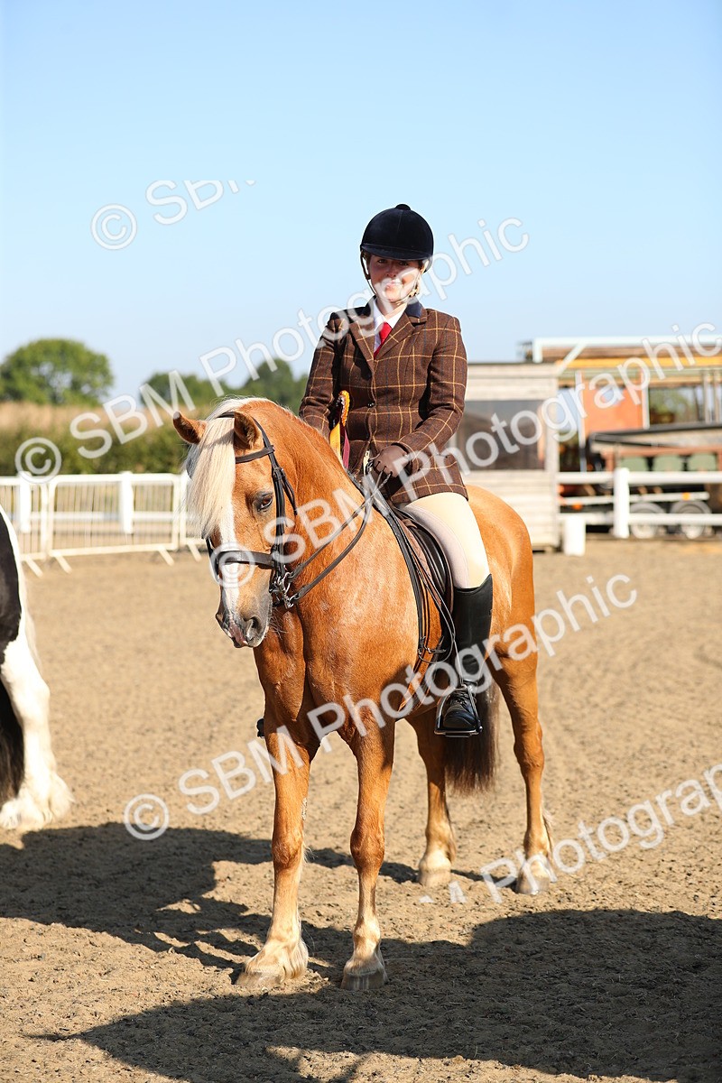 SBM_01240 - Class 42 Ridden Veteran
