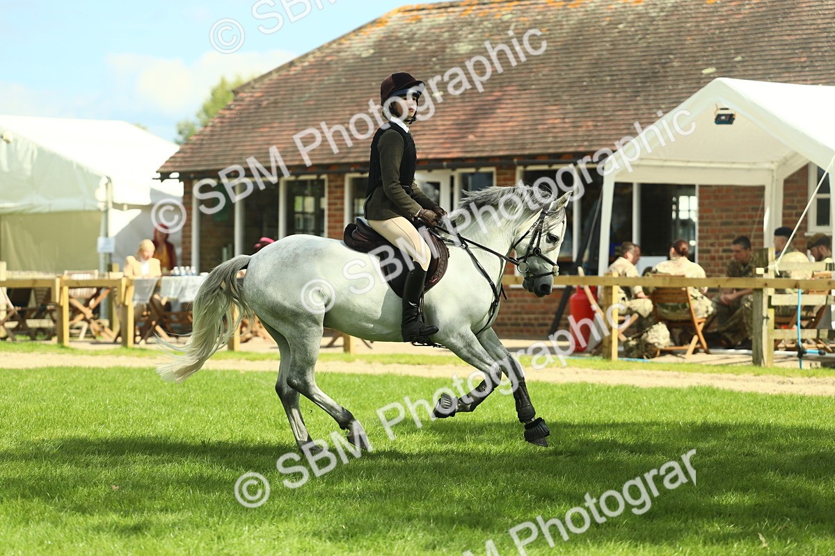 SBM_42947 - S30 - M&M Working hunter Pony