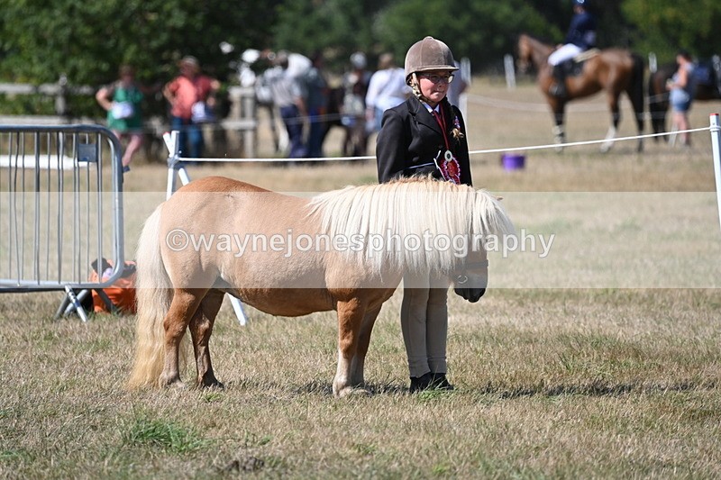 WJ6_9124 - Championship Classes 33-38