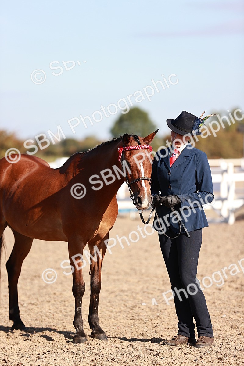 SBM_11455 - Class 402 - IH  Veteran pony