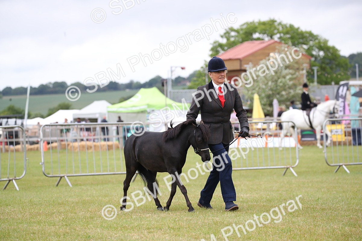 SBM_03516 - Class 23-25 - British Miniature Horse of the Year