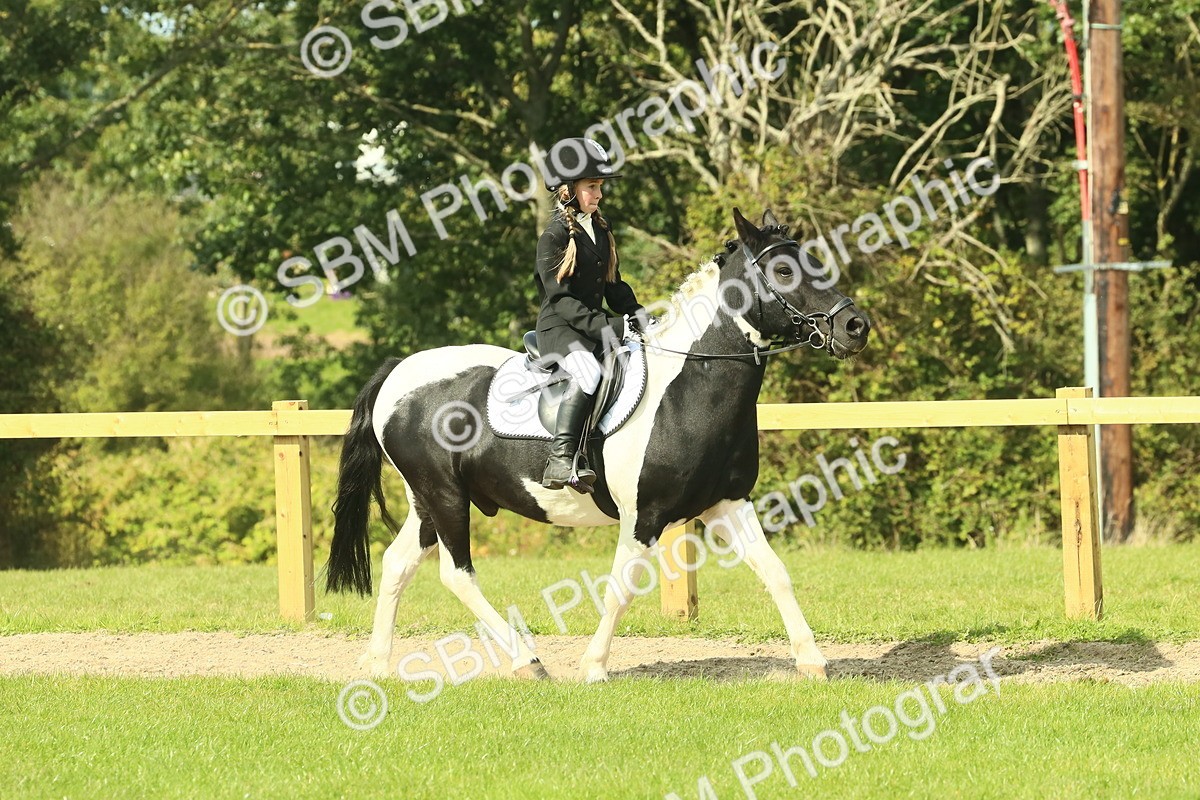 SBM_67412 - S56 - Coloured Pony Ridden