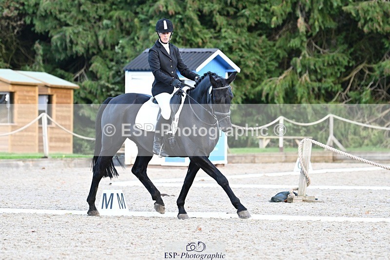 231110-134531-01042 - Cls 4 Novice 39Q