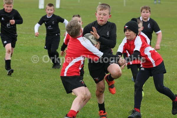DAD22428 - Rookies/Mini Rugby on 7s Day