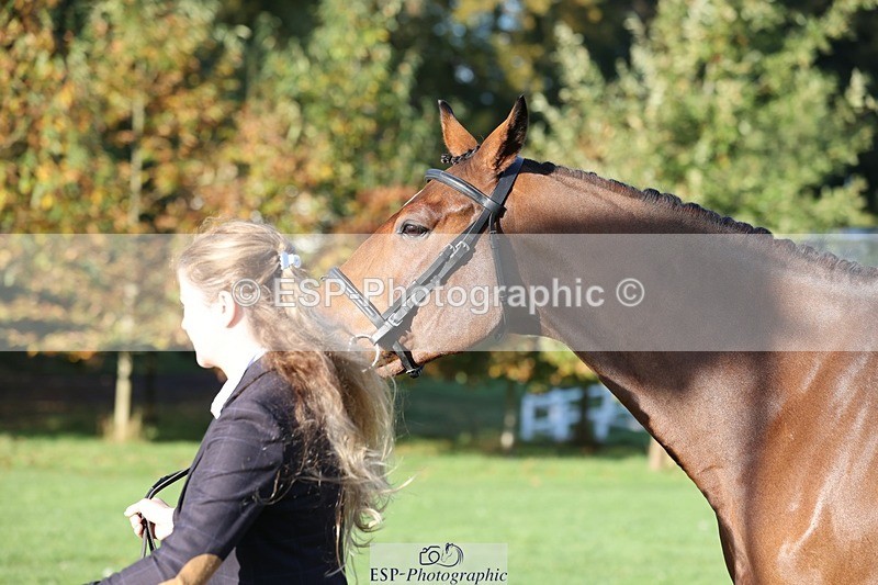 241027-091537-15164 - 360-Annalise.Olson-ROSS.DUFF.REILLY