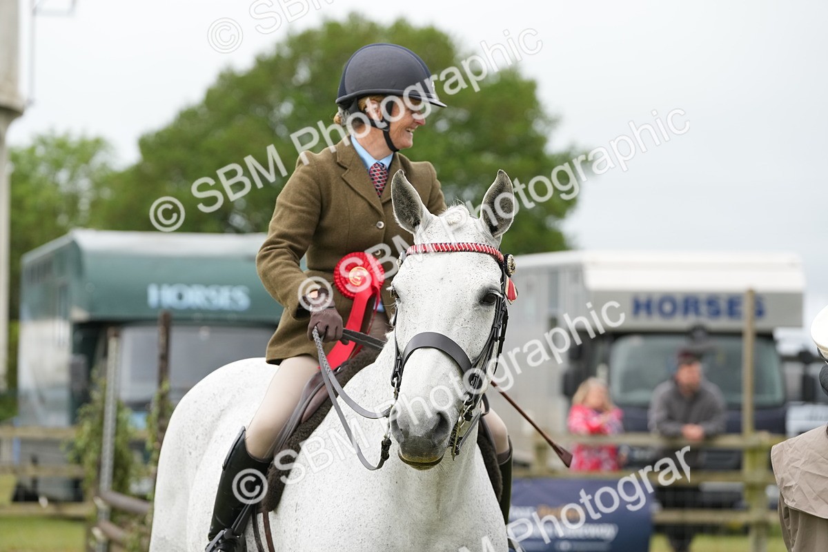 SBM_10647 - Class 97-98 - LIHS BSHA Rising Star Working Show Horse Hunter