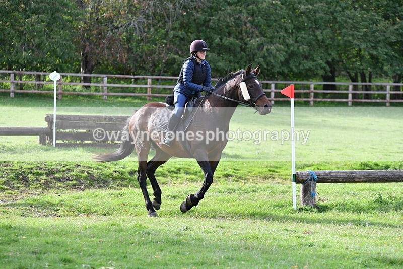 WJ5_1196 - Time 14:29 to 15:31