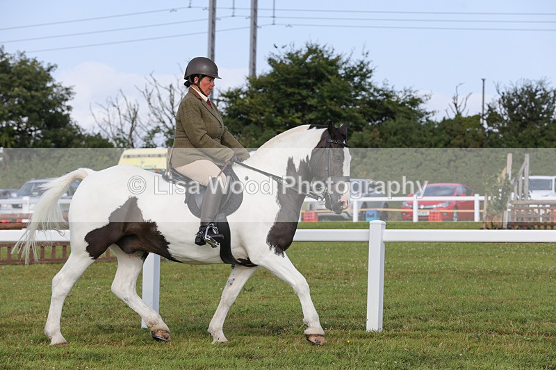 1X9A3187 - Class 28: Ridden Native/Trad Coloured Pony