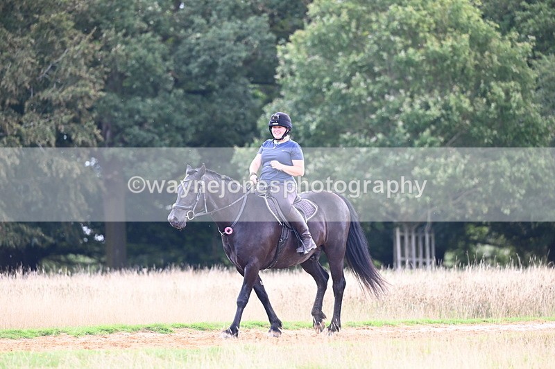 DSC_4167 - Time at Statue 09:50 to 11:09