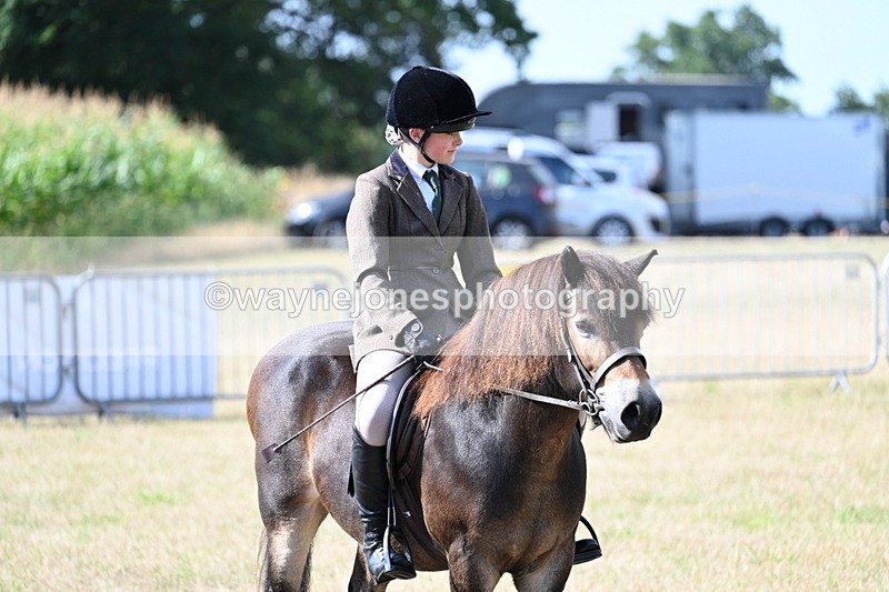 WJ7_2735 - Class 8 Ridden Tack & Turnout