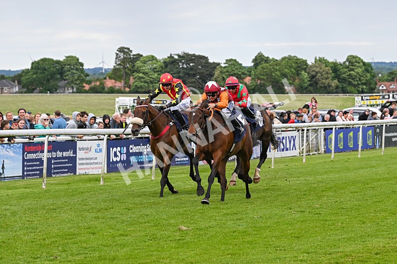 290524-Race 7-Lincoln Rockstar-7296