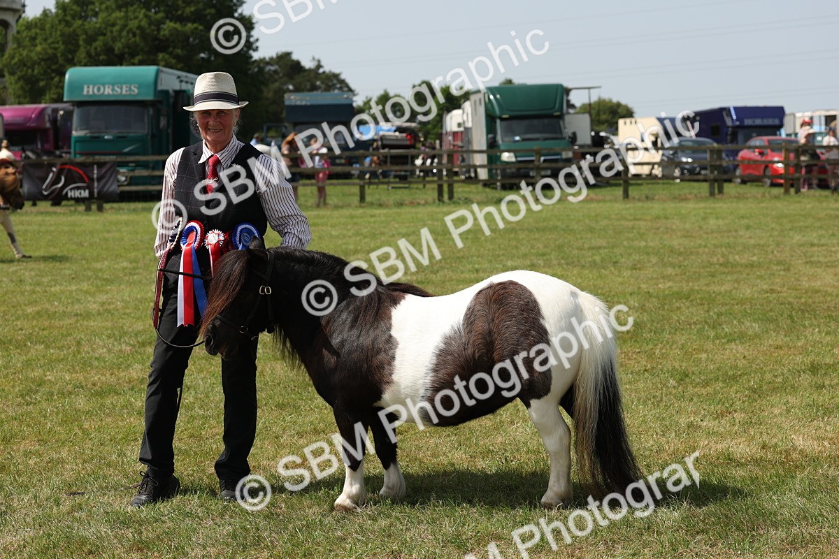 W29_2242 - Class 16 - Overal Mountain and Moorland In Hand inc. Silver Medal