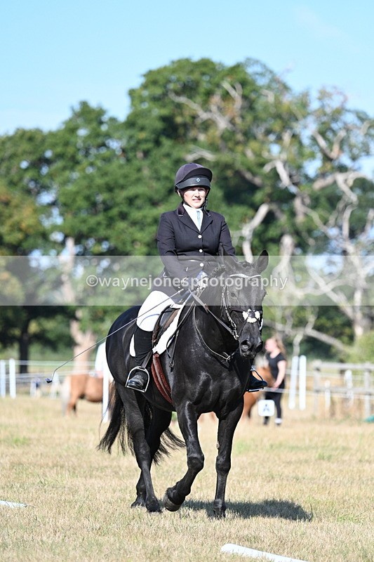 WJ7_9207 - Time 09:27 to 10:03