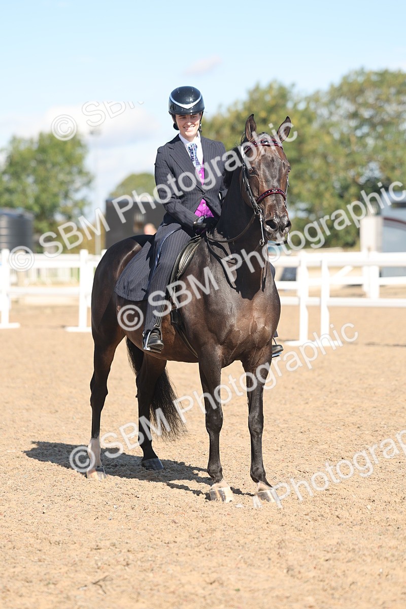 SBM_13064 - Class 305 - Ridden Foreign Breed Pure Bred