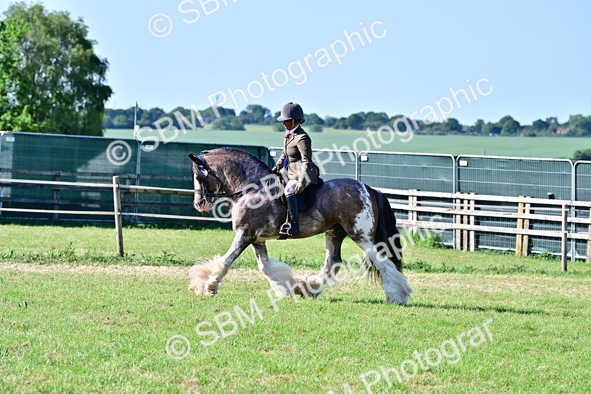 SBM_19590 - Class 101-102 - BSPS LIHS Performance Coloured Horse/Pony