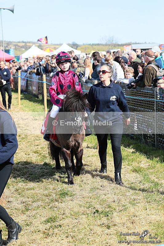 Shet 060426 69 - Shetland Pony Racing Paxford Races Easter Mon 06/04/26
