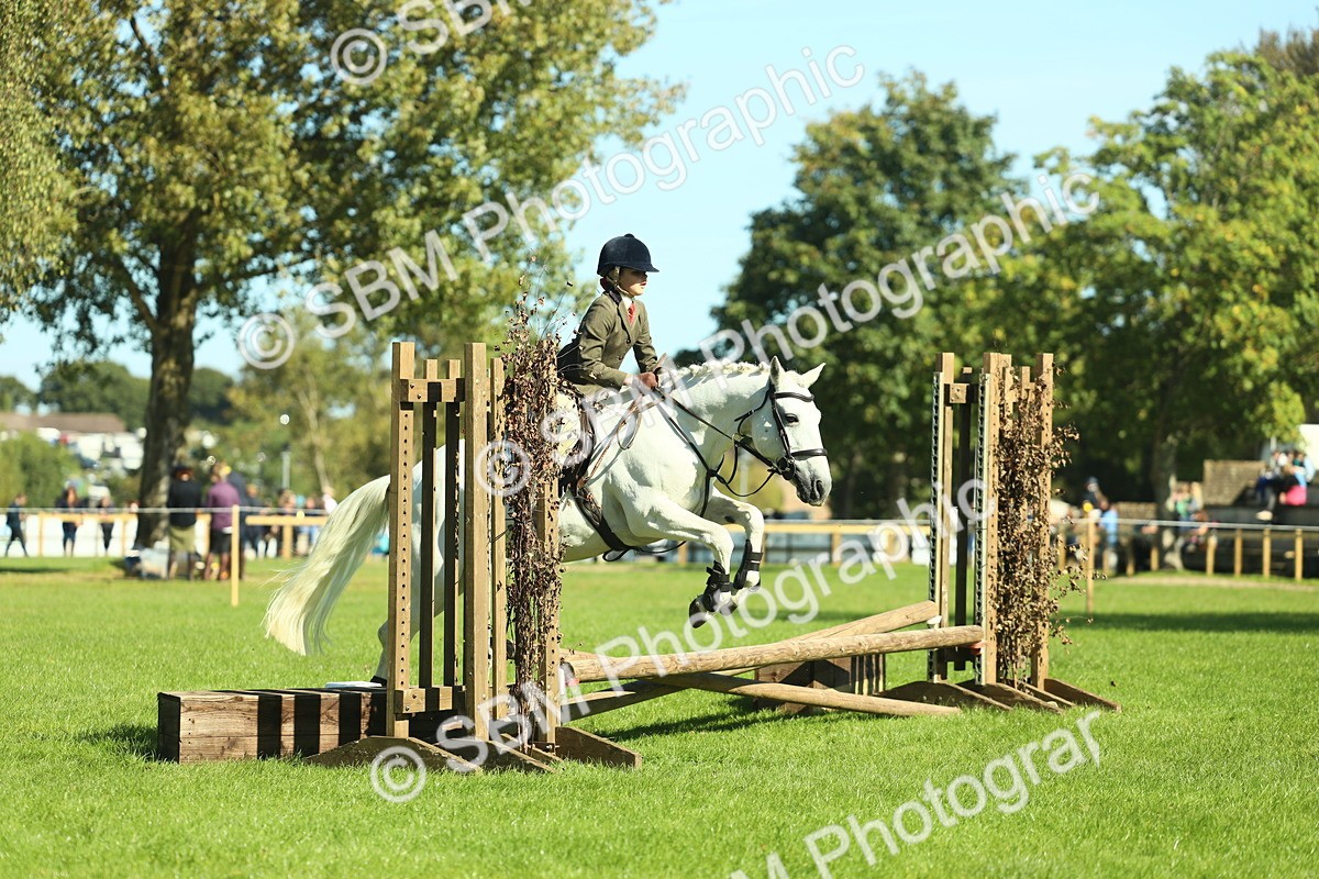 SBM_39119 - S29 - Novice & Newcomers Working Hunter Pony