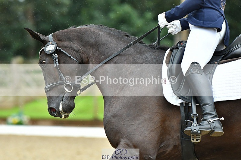 230722-163514-03991 - Cls 5, Elementary Silver 15.10 to End