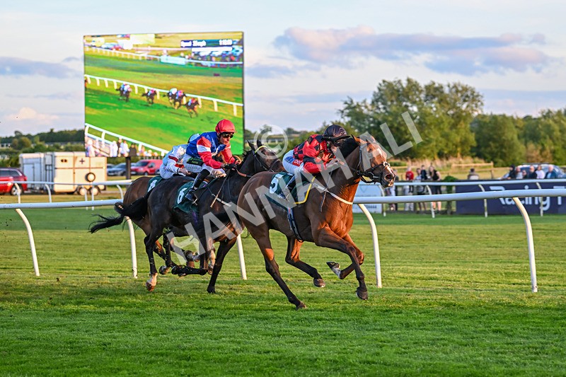 300525-Race 6-Glory Hyde-8010 - Race 6