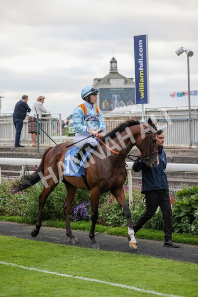 yr24092021r8-4 - Race 8 5.25pm William Hill Build Your Own Odds Apprentice Stakes