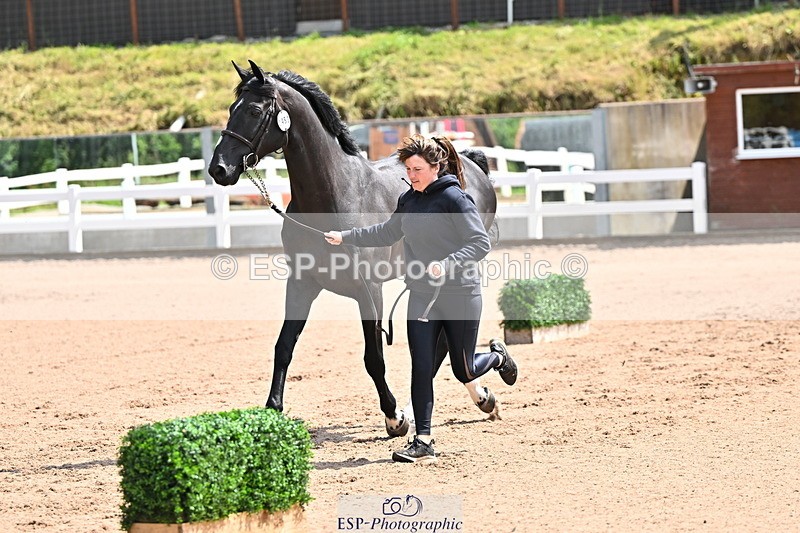 240718A-105241-01025 - Trot Up 11am to 12pm