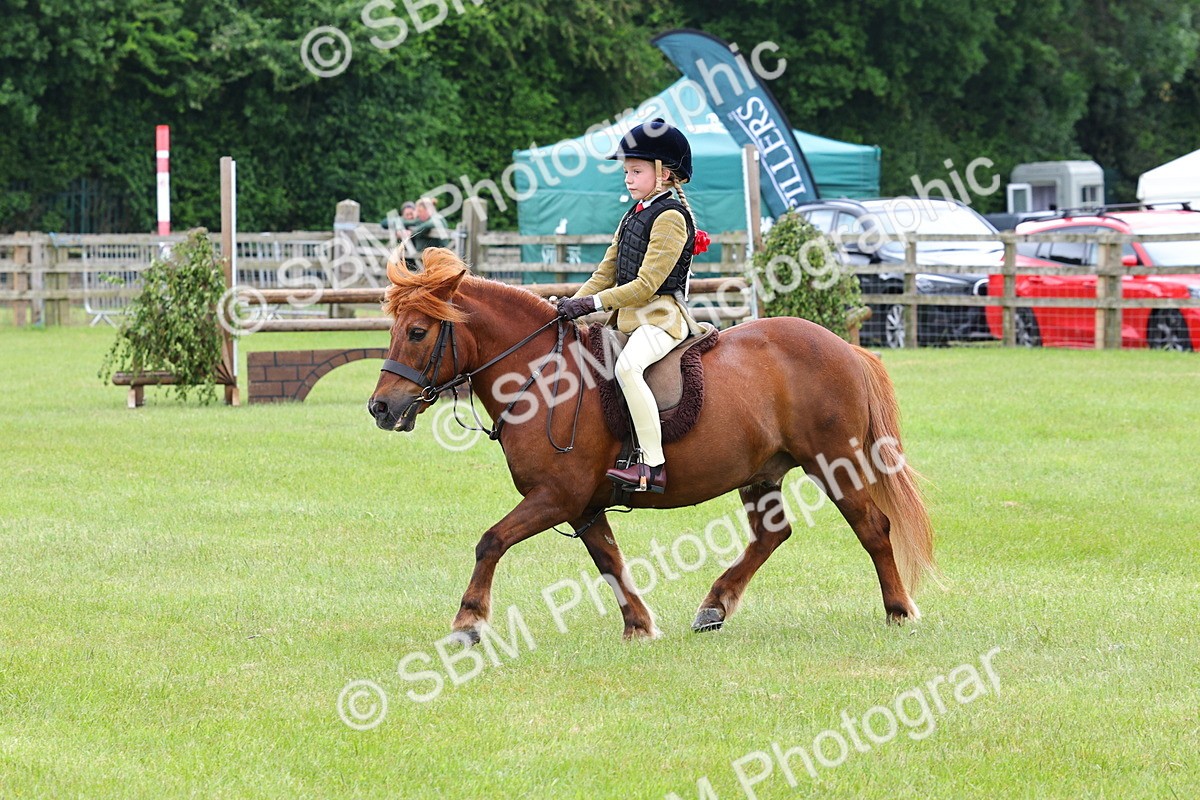 SBM_08646 - Class 42-43 - LIHS BSPS Heritage Working Sports Pony