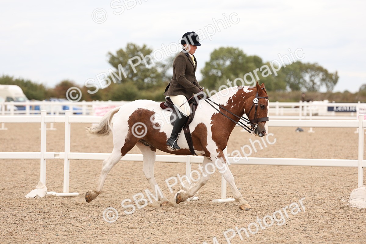 SBM_19522 - Class 215 - Ridden Show cob