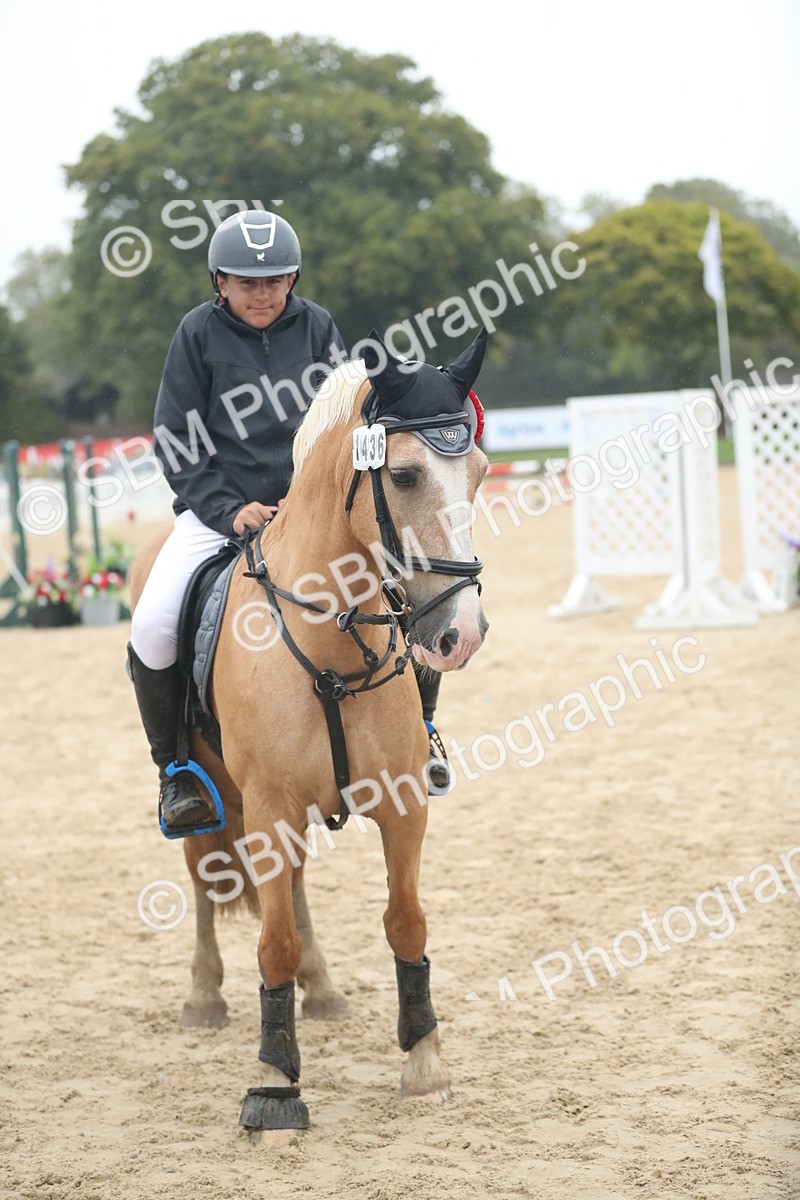 SBM_74311 - Supreme championship Junior Pony 70cm 75cm
