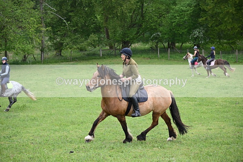 WJ6_3356 - A camera