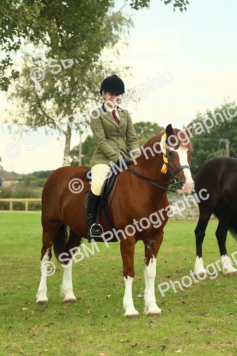 SBM_72333 - S60 - Mountain & Moorland Ridden Large Breeds