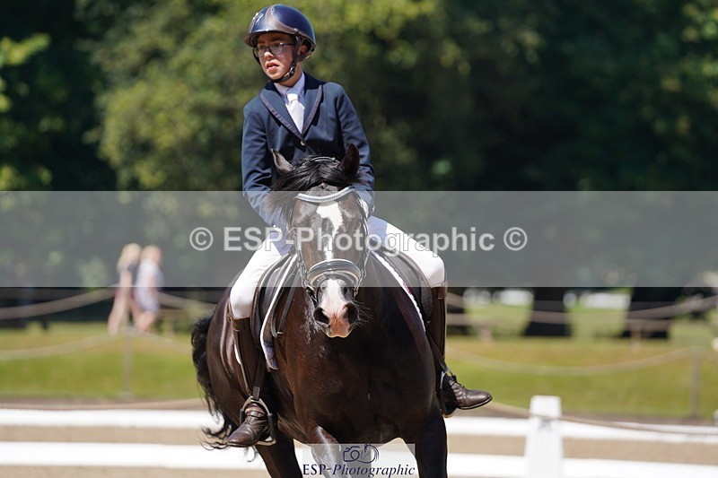 240719-113116-01159 - 282-Edward_Collis-Eglwysfach_Blodwen