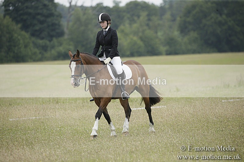 B230619-0676 - Bourne Valley Riding Club Summer Show 23/06/19