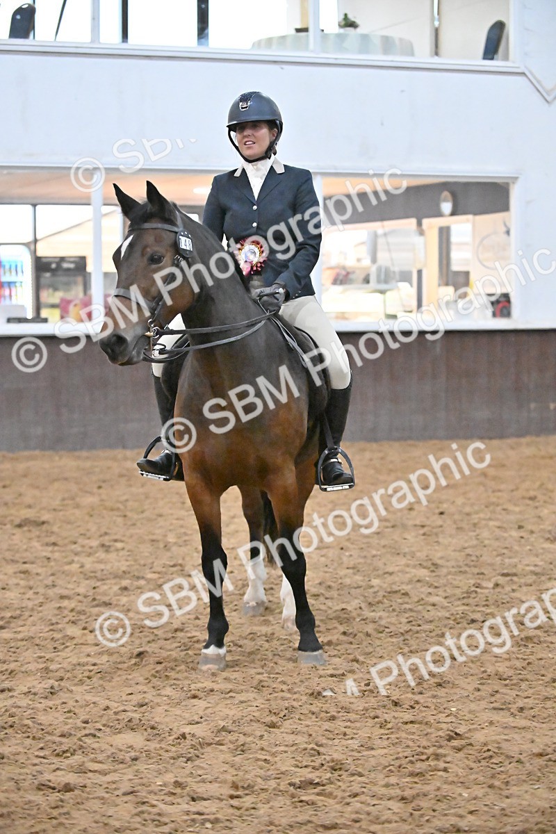 SBM_003032 - Class 37,38 - UKPSAF Performance Horse & Pony